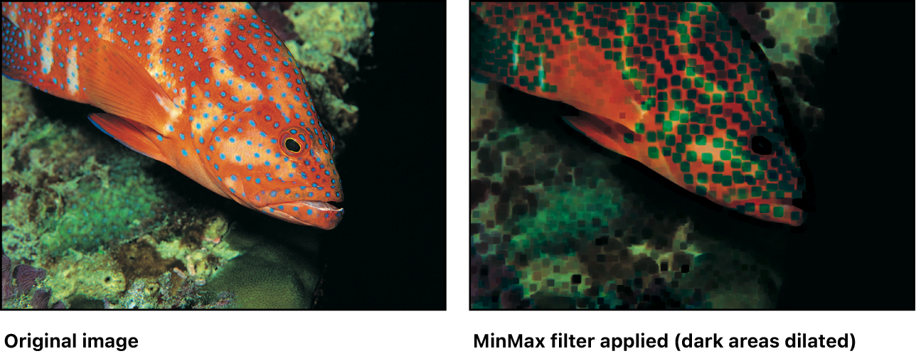 Canvas showing effect of MinMax filter