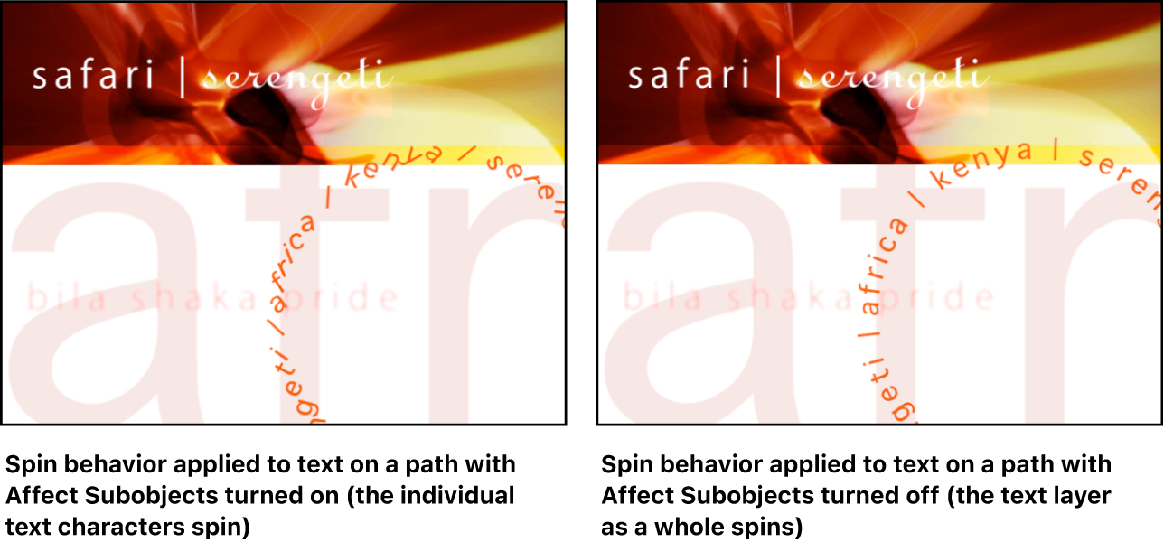 Canvas showing effect of Affect Subobjects setting: When the setting is on, individual letters spin; when it is off, the text layer as a whole spins