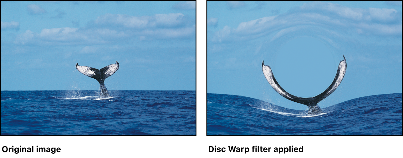 Canvas showing effect of Disc Warp filter