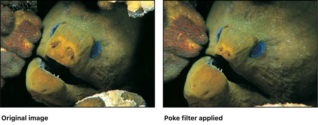 Canvas showing effect of Poke filter