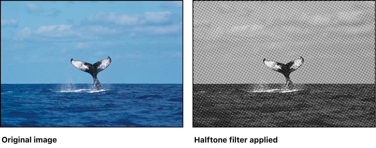 Canvas showing effect of Halftone filter