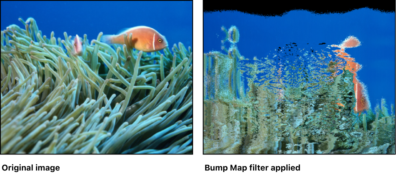 Canvas showing effect of Bump Map filter