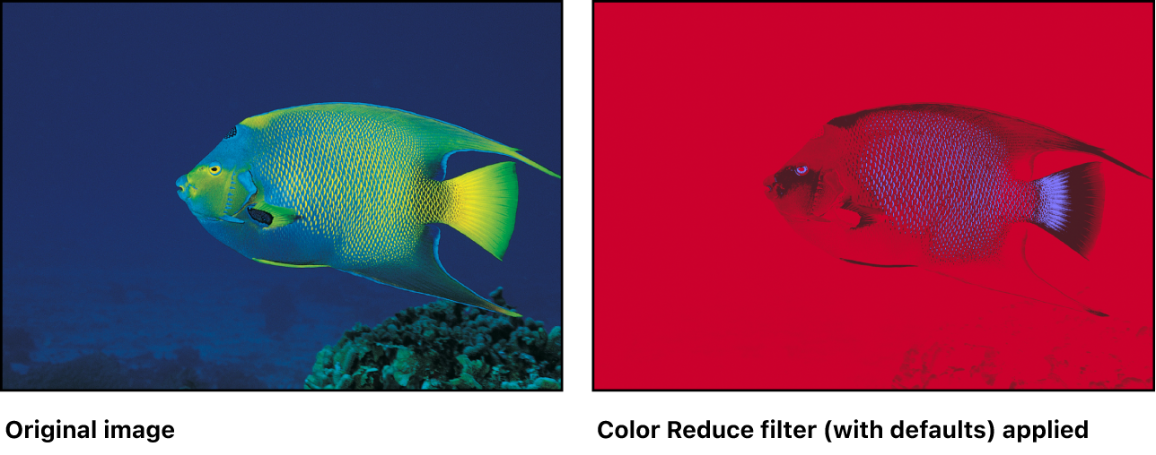 Canvas showing effect of Color Reduce filter