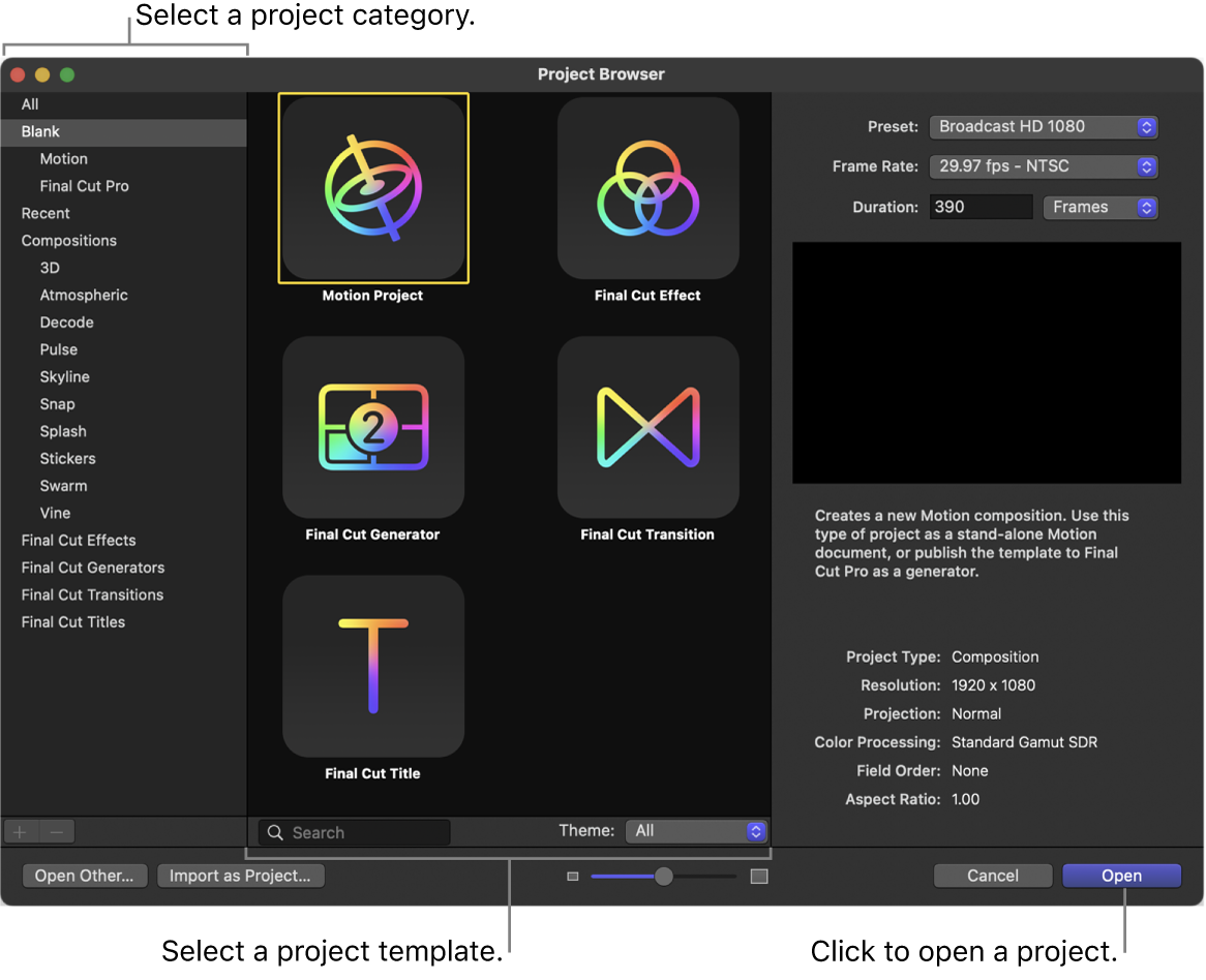 Explorador de proyectos