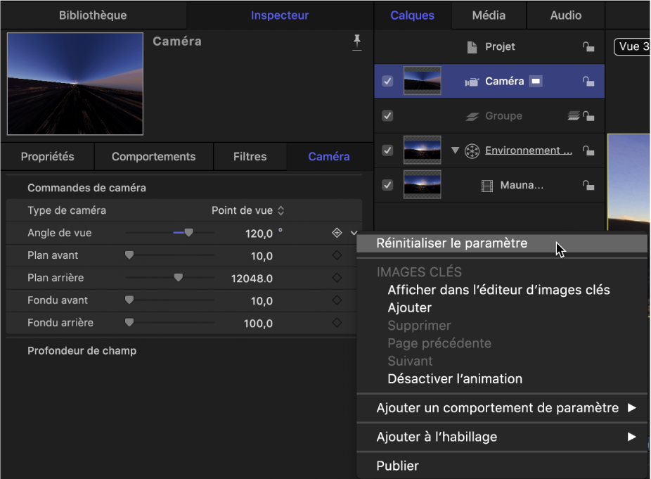 Réinitialisation du paramètre Angle de vue dans l’inspecteur de caméra