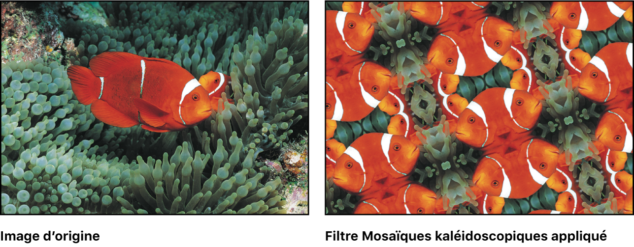 Canevas affichant l’effet du filtre Mosaïques kaléidoscopiques