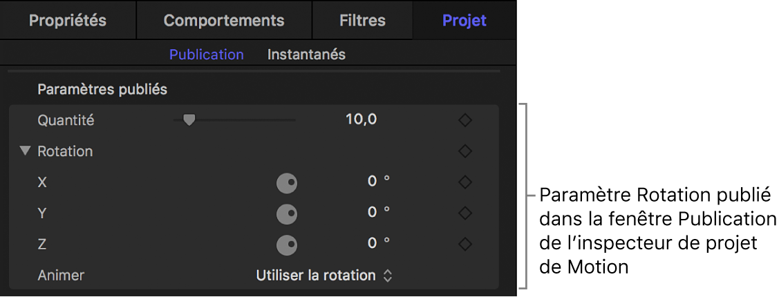 Paramètre Rotation, publié dans la fenêtre Publication de l’inspecteur du projet