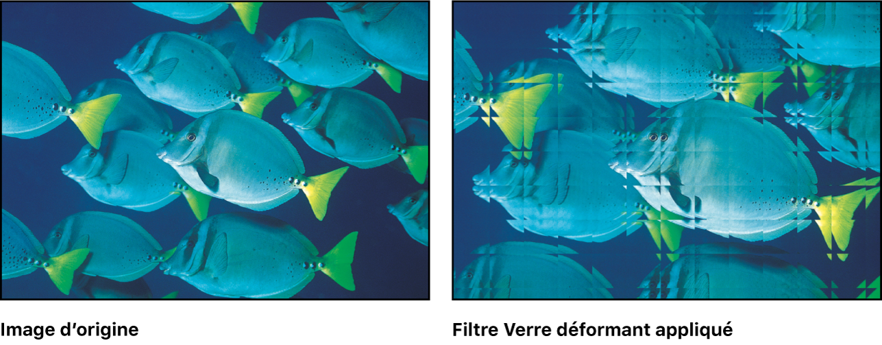 Canevas affichant l’effet du filtre Verre déformant