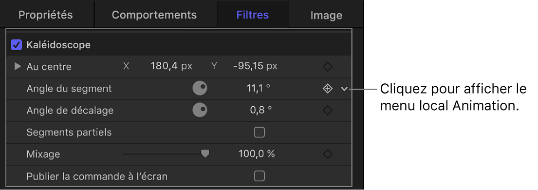 Petite flèche vers le bas représentant le menu Animation