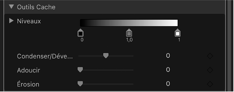 Commandes des outils Cache du filtre « Incrustateur de fond vert »