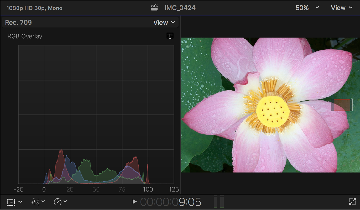 Das Histogramm „RGB-Überlagerungen“ links neben dem Viewer