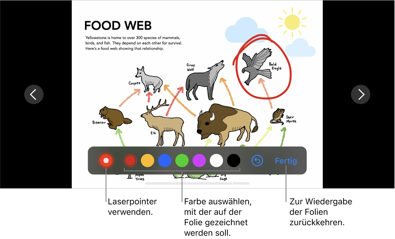 Eine Folie im Illustrationsmodus mit dem Laserpointer und Steuerelementen zur Auswahl der Farbe