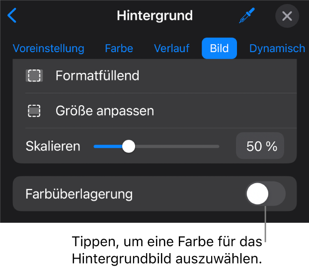 Die Steuerelemente „Hintergrund“ mit einem Bild, das als Folienhintergrund festgelegt ist, und dem Steuerelement „Farbüberlagerung“ unten.