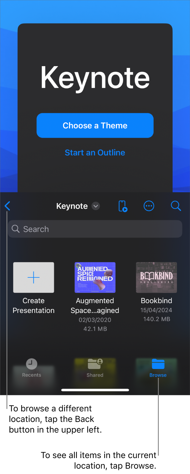 The browse view of the document manager with the Back button in the top-left corner and below it a Search field. In the top-right corner are the Add, More and Remote buttons. At the bottom of the screen are the Recents, Shared and Browse buttons.