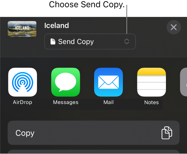 The Share menu with Send Copy selected at the top.
