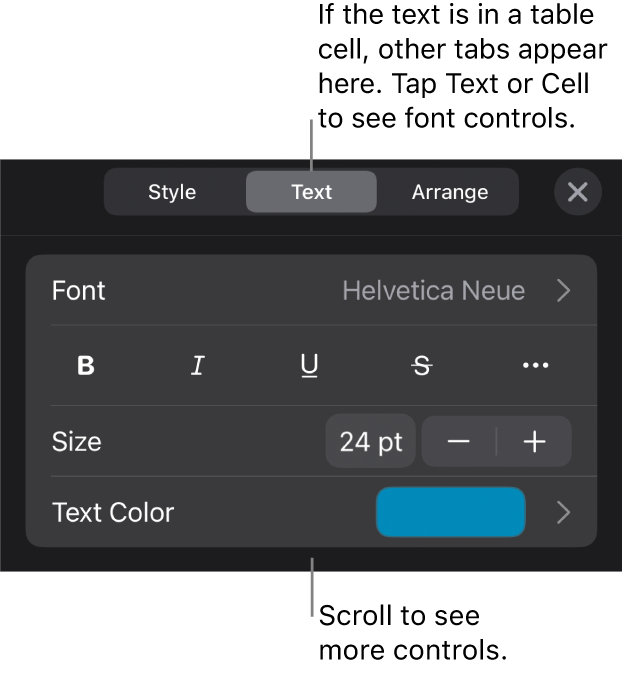 Text controls in the Format menu for setting paragraph and character styles, font, size, and color.