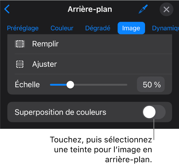 Les commandes Arrière-plan avec une image réglée comme arrière-plan des diapositives et la commande Superposition de couleurs au bas.