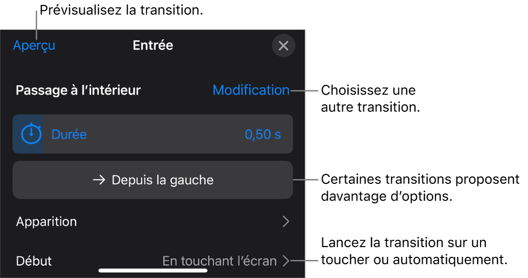 Commandes de la sous-fenêtre Options permettant de modifier une transition.