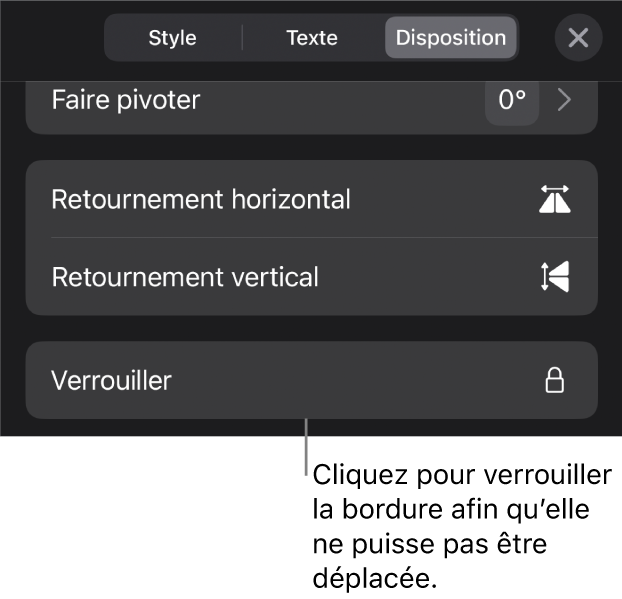 Les commandes Disposition dans le menu Format avec une légende reliée au bouton Verrouiller.