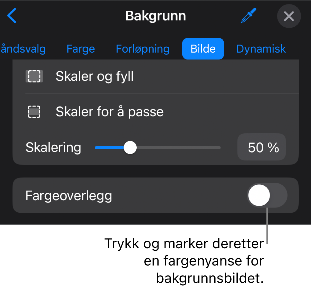 Bakgrunn-kontroller med et bilde angitt som lysbildebakgrunn og Fargeoverlegg-kontrollen nederst.