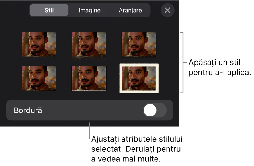 Fila Stil a meniului Format cu stilurile de obiect în partea de sus și o comandă sub acestea pentru modificarea bordurii.