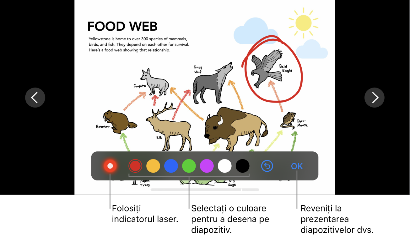 Mod de ilustrare diapozitiv în diapozitiv afișând indicatorul laser și comenzile de selectare a culorii.