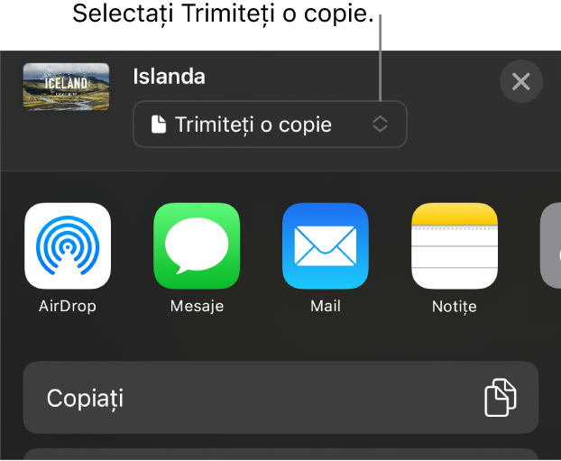 Meniul Partajează, cu opțiunea Trimite o copie selectată în partea de sus.