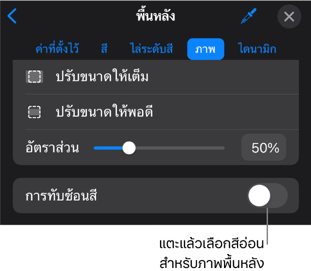 ตัวควบคุมพื้นหลัง โดยที่ภาพถูกตั้งค่าเป็นพื้นหลังของสไลด์ และตัวควบคุมการทับซ้อนสีอยู่ด้านล่างสุด