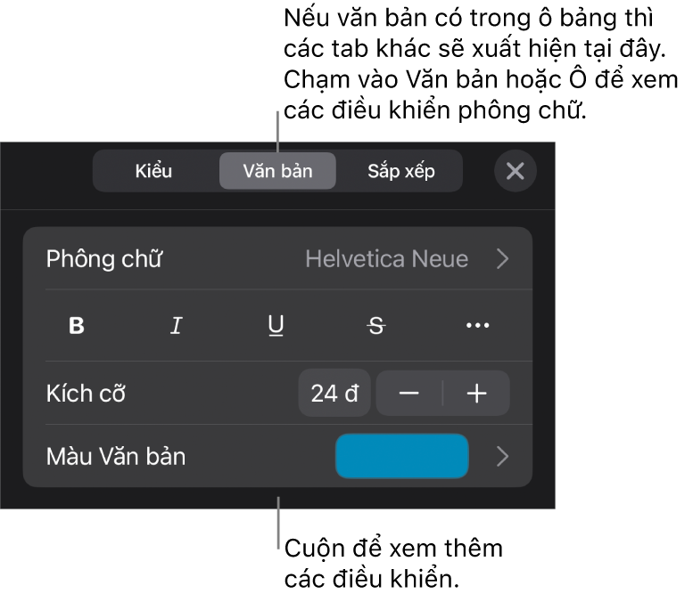 Các điều khiển văn bản trong menu Định dạng để đặt kiểu, phông chữ, kích cỡ và màu của đoạn và ký tự.