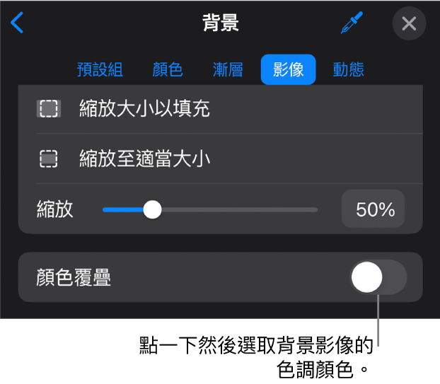 「背景」控制項目底部為設為幻燈片背景的影像和「顏色覆疊」控制項目。