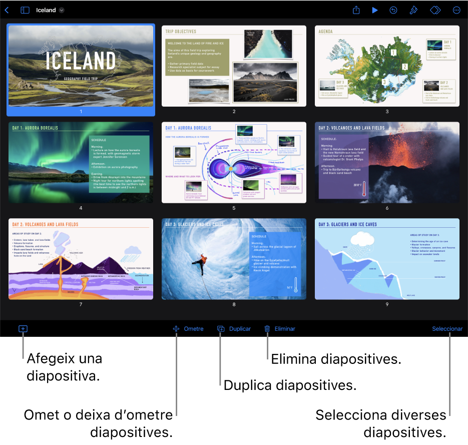 Visualització en taula de llum amb botons a la part inferior de la pantalla per afegir, ometre, duplicar i eliminar diapositives, i per seleccionar diverses diapositives.