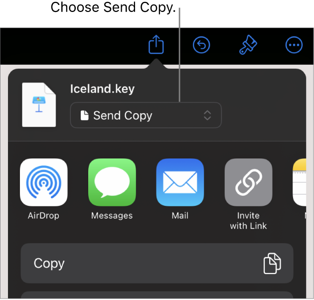 The Share menu with Send Copy selected at the top.