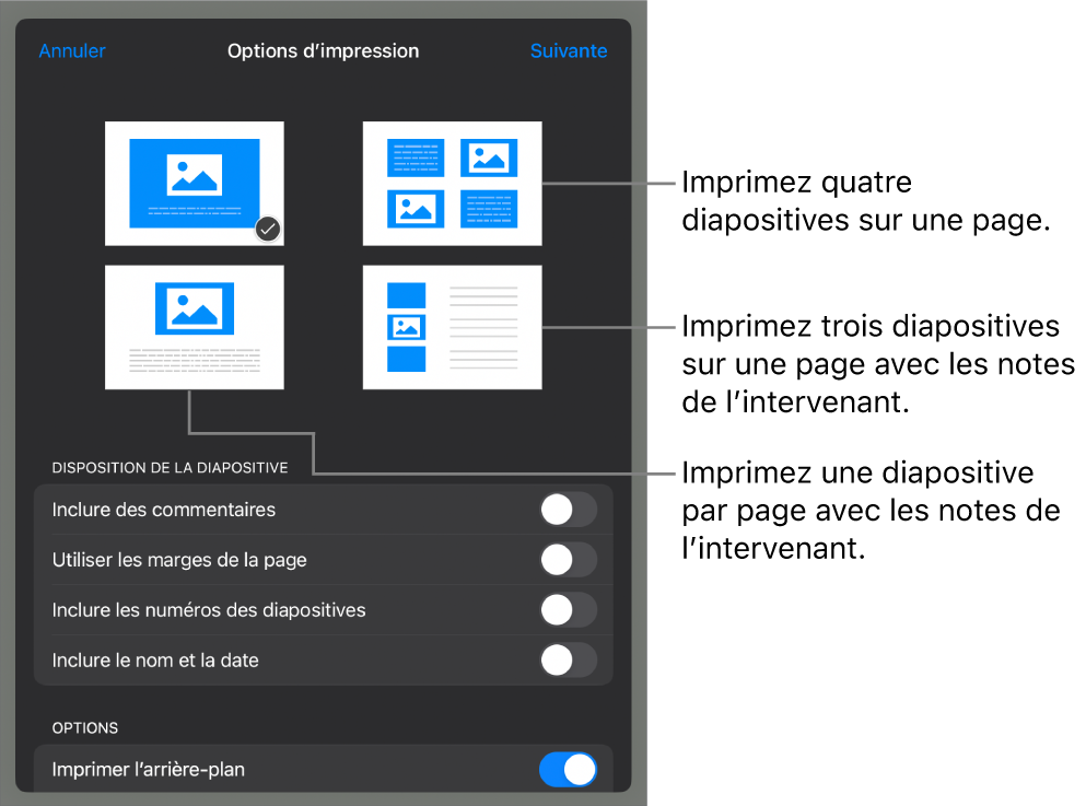 Options de disposition d’impression.