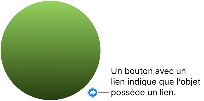 Un cercle vert avec un bouton de lien qui indique que l’objet possède un lien.