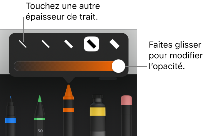 Commandes pour choisir une épaisseur de trait et curseur pour ajuster l’opacité.