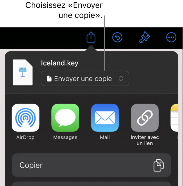 Le menu Partager avec l’option Envoyer une copie sélectionnée en haut.