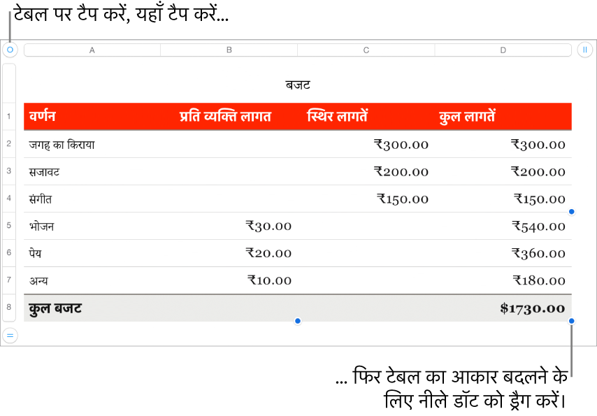 आकार बदलने के लिए नीले डॉट के साथ चुना हुआ टेबल।