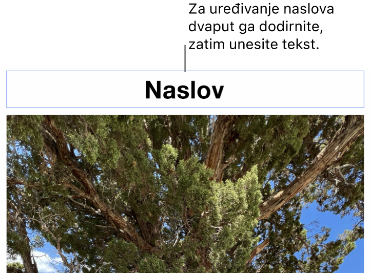 Naslov držača mjesta, “Naslov“ se javlja ispod fotografije; plavi obrub oko polja opisa ukazuje da je odabran.