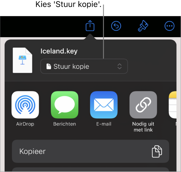 Het Deel-menu waarin bovenin 'Stuur kopie' is geselecteerd.