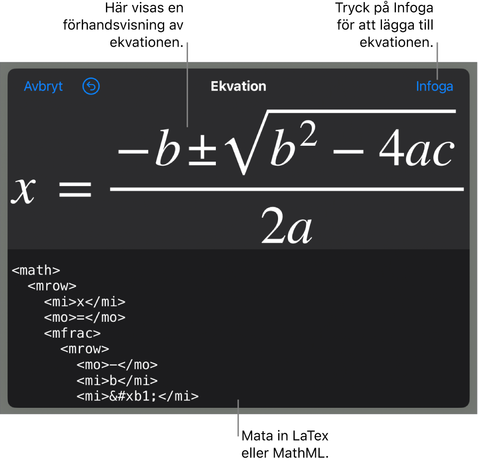 Dialogrutan Ekvation visar en ekvation som skrivits med MathML-kommandon och en förhandsvisning av formeln ovanför den.