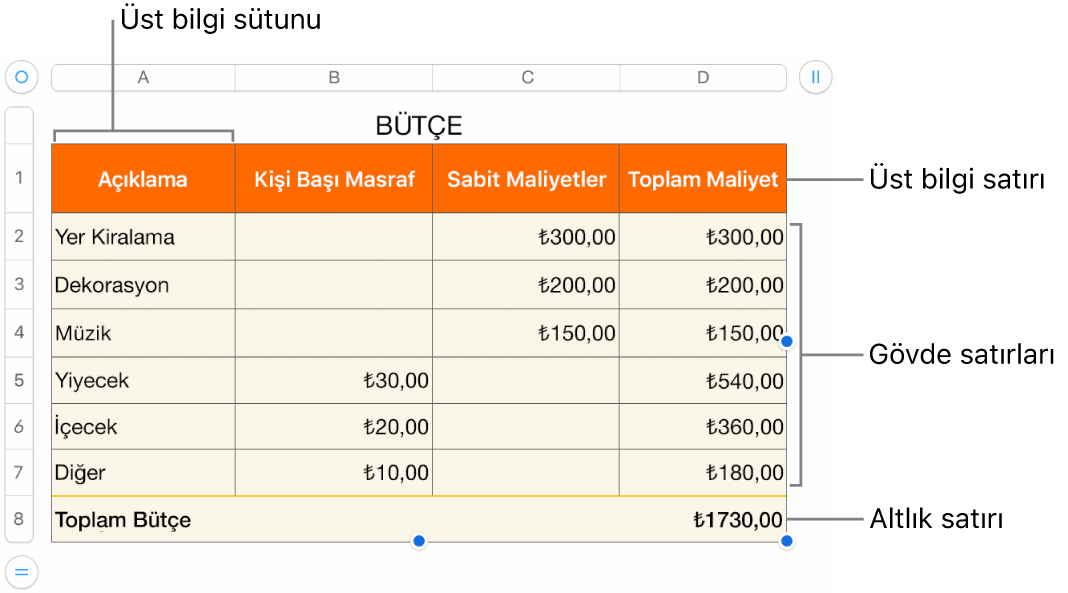 Üst bilgi, gövde ve dipnot satırlarını ve sütunlarını ve satır veya sütun eklemek ya da silmek için tutamakları gösteren bir tablo.