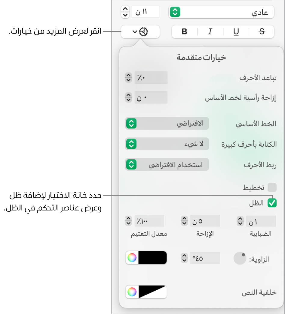 قائمة "المزيد من خيارات النص" مفتوحة وتظهر بها خانة اختيار الظلال محددة وعناصر التحكم لتعيين الضبابية والإزاحة والتعتيم والزاوية واللون.