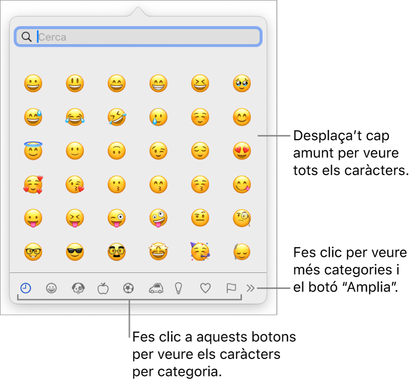 La finestra emergent “Caràcters especials”, amb emoticones, botons per a diversos tipus de símbols a la part inferior i una llegenda d’un botó per mostrar la finestra “Caràcters especials” completa.