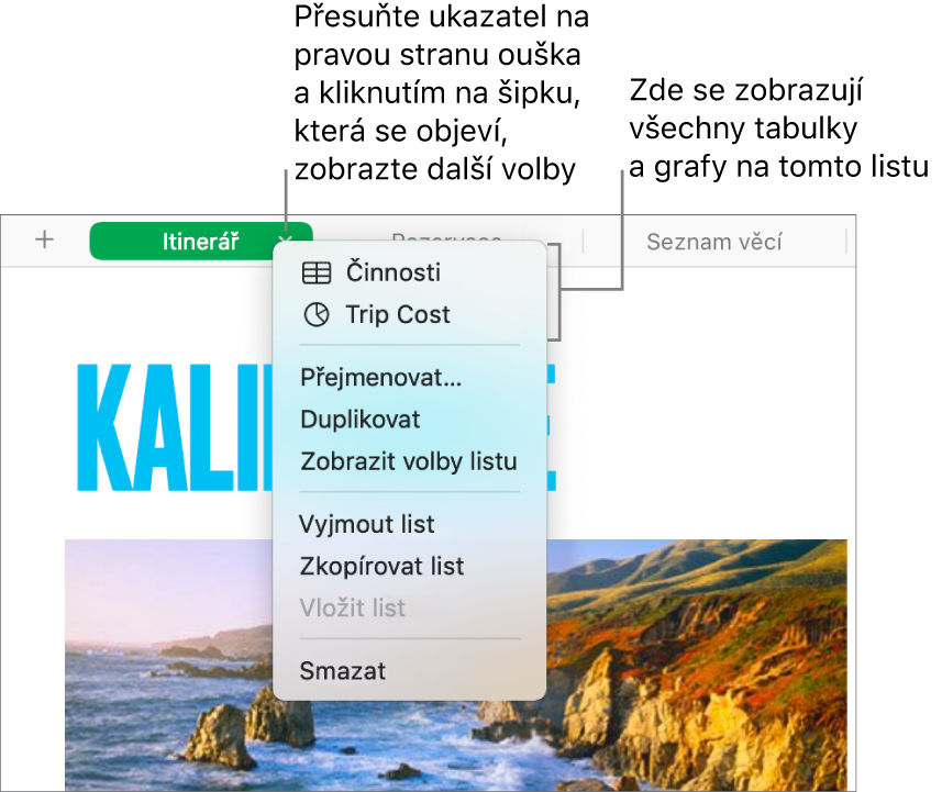 Štítek listu s otevřenou místní nabídkou, v níž jsou zobrazeny různé možnosti, včetně možnosti Duplikovat