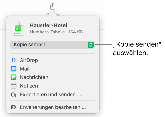 Das Menü „Teilen“, in dem „Kopie senden“ oben ausgewählt ist.