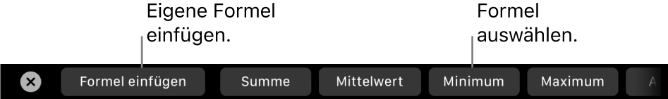 Die Touch Bar des MacBook Pro mit den Steuerelementen zum Einfügen einer eigenen Formel und zum Auswählen einer vordefinierten Formel.