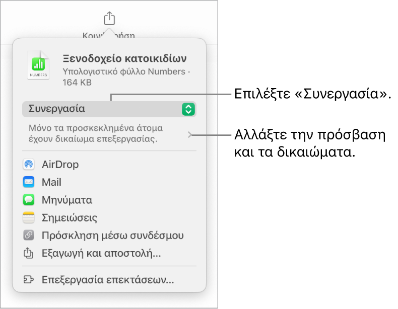 Το μενού «Κοινή χρήση» με επιλεγμένη τη «Συνεργασία» στο πάνω μέρος, και ρυθμίσεις πρόσβασης και δικαιωμάτων από κάτω.