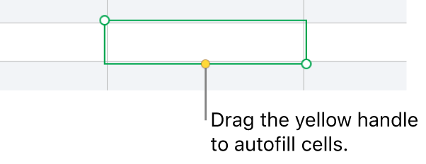 A selected cell with a yellow handle you can drag to autofill cells.