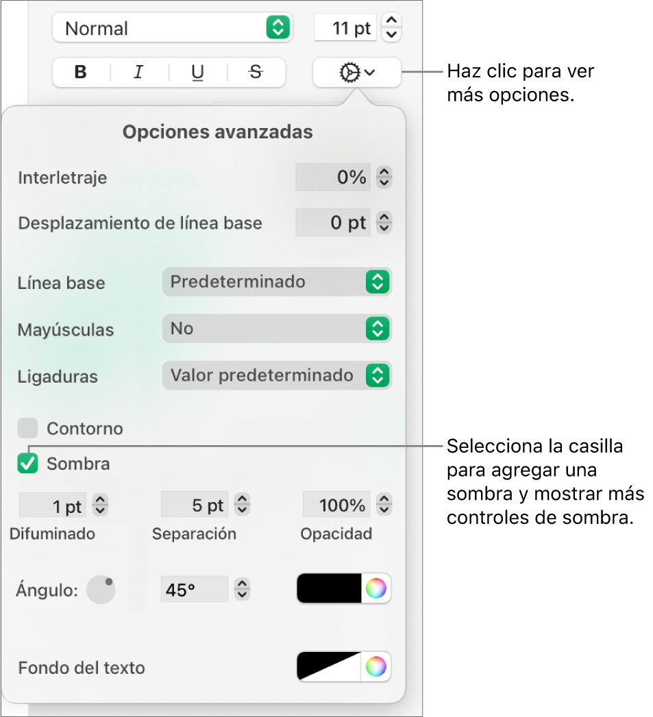 El menú Más opciones de texto abierto con la casilla Sombras seleccionada y los controles para configurar el desenfoque, la desviación, la opacidad, el ángulo y el color.