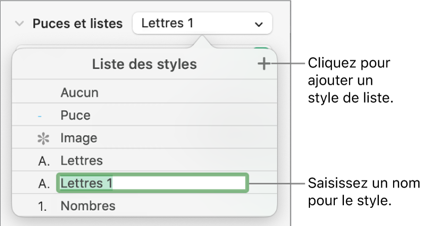 Menu local « Styles de liste » avec un bouton Ajouter dans le coin supérieur droit et un nom de style de paramètre fictif dont le texte est sélectionné.